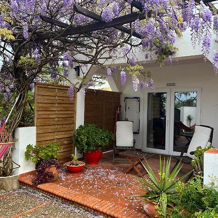 Arriba Stijlvol Appartement Met Zwembad En Tuin Conil De La Frontera Eksteriør bilde